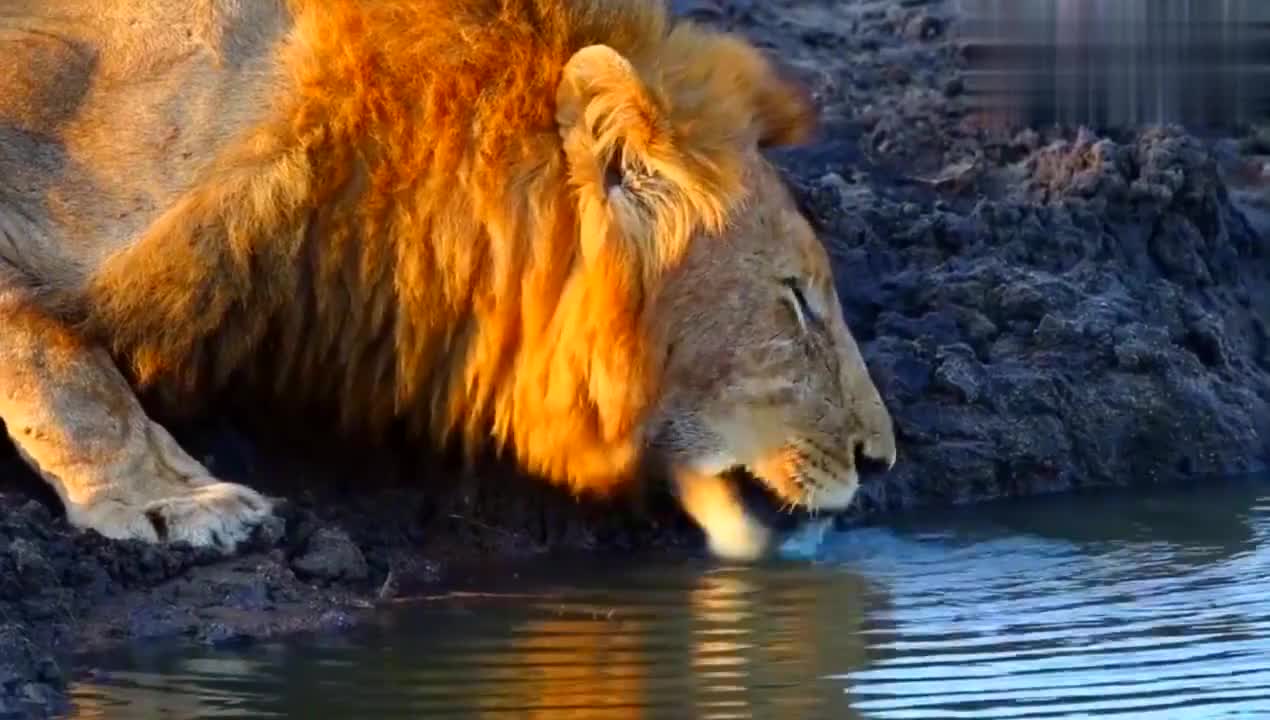 爱游戏-莫兰特52分全场回放免费 爱游戏-莫兰特52分全场回放免费